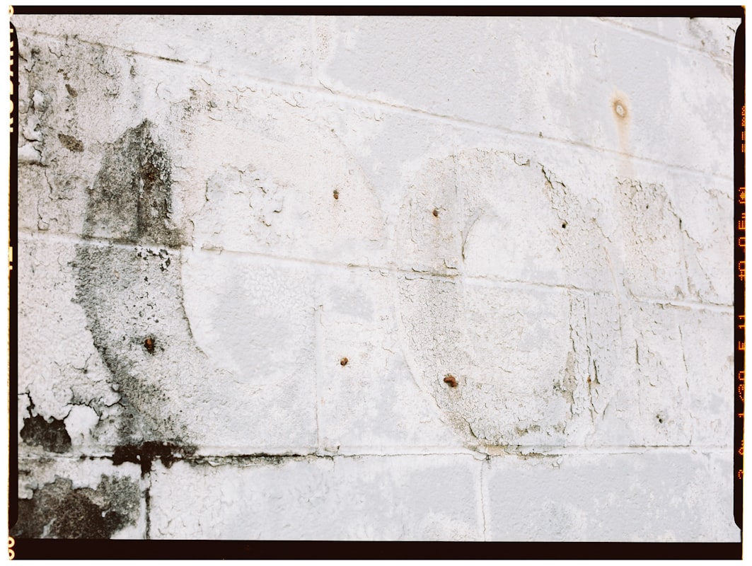 Sewage Cleanup service in Novi, MI