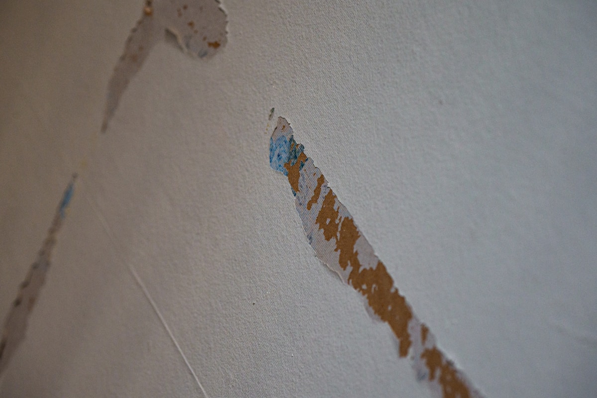 Flood Cleanup service in Novi, MI